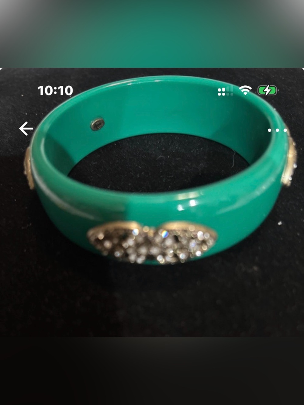 Premier Designs "Roaring Chic" Green Acrylic Bangle
Bracelet.